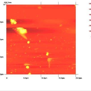 3-dimensional (Figure 3a) and 2-dimensional (Figure 3b) AFM image of ...