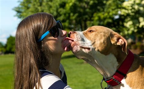 Fotos Gratis Ni A Mujer Perrito Amor Mascota Beso Dos Familia