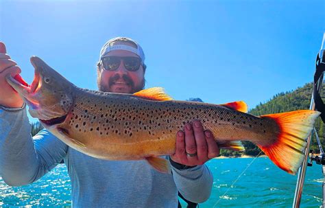 Shasta Lake Fish Report Shasta Lake Ca Shasta County