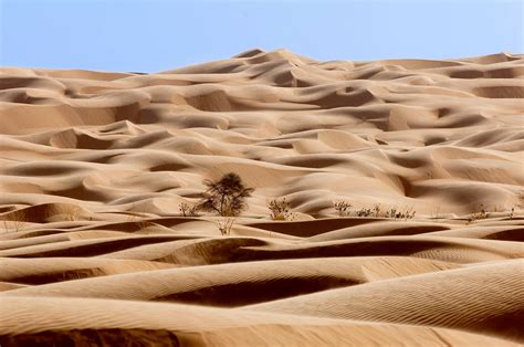 Idees Voyage Mauritanie 10 Jours Et 9 Nuits