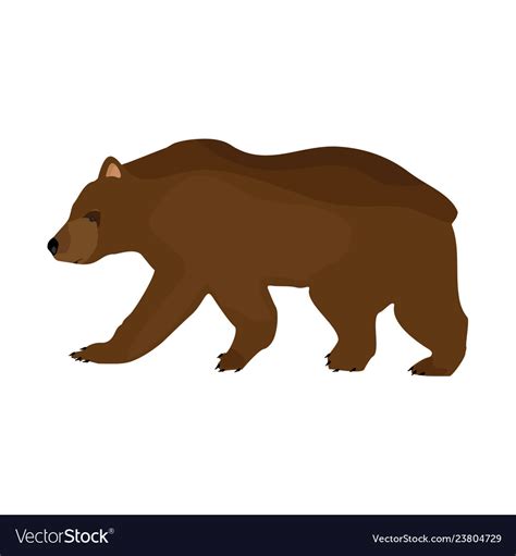 Brown bear Royalty Free Vector Image - VectorStock