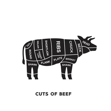 Vector Illustration Guide Meat Cuts Set Beef Butcher Poster Diagrams