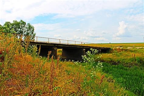 Premium Photo A Bridge Over A Field