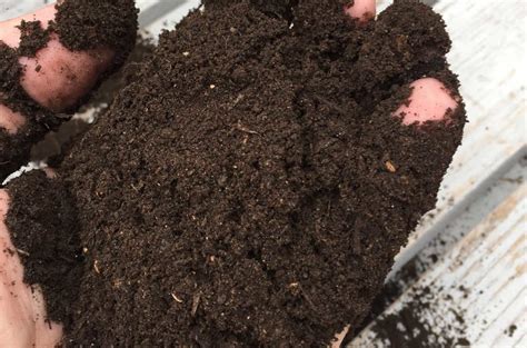 What Are Worm Castings Everything You Need To Know Schmitty S Worm Farm