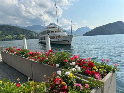 Desde Lucerna Excursi N Privada Al Monte Pilatus Y El Lago De Los