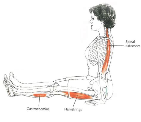 Dandasana Staff Pose Steps And Benefits Sarvyoga Yoga