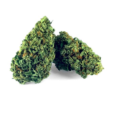 CBD Blüten Sour Lemon Premium Cbddiscounter