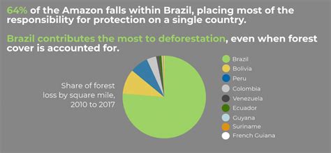 agribusiness  usual curbing deforestation   amazon rainforest
