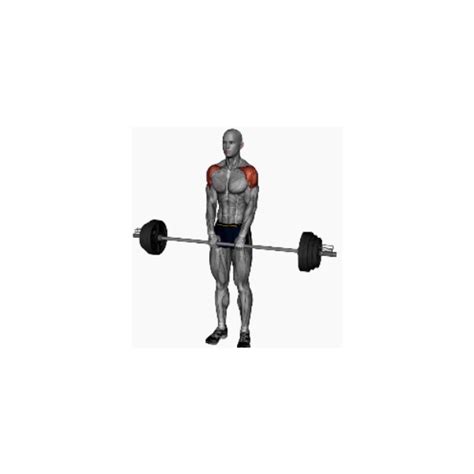 Barbell Upright Row Instructions Bp Training And Coaching