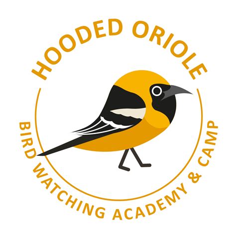 Hooded Oriole - Bird Watching Academy