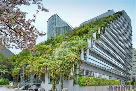 8 Reasons Why You Should Have A Green Roof