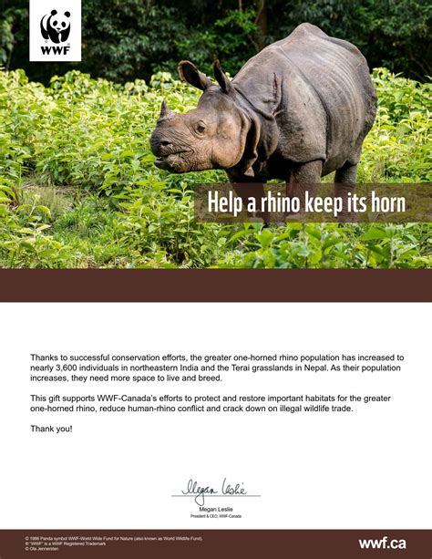 Greater One-Horned Rhino Virtual Gift | WWF-Canada