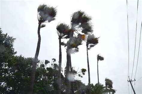 台風6号の影響で、激しい風が吹く鹿児：2023年 大雨・台風被害 写真特集：時事ドットコム