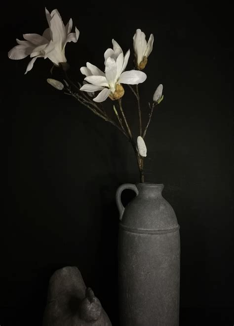 Magnolia Kunsttak Met Bloem En Knop Betaalbare Sfeervolle Woondecoratie