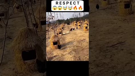 Respect Motivational Shots 💯💯👹🤯 Respect Viral Shorts Youtube