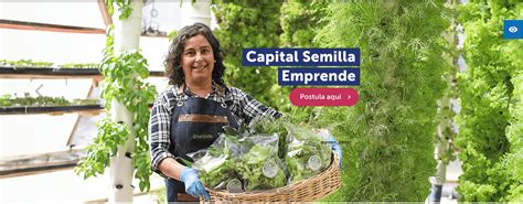 Formulario De Postulaci N Capital Semilla Sercotec