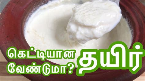 வீட்டிலேயே கெட்டி தயிர் செய்யும் ரகசியம் How To Make Thick Curd