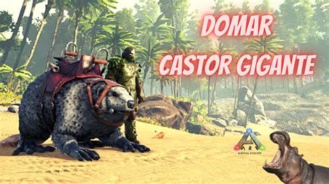 Como Domar Castor Gigante Ark Survival Evolved Youtube