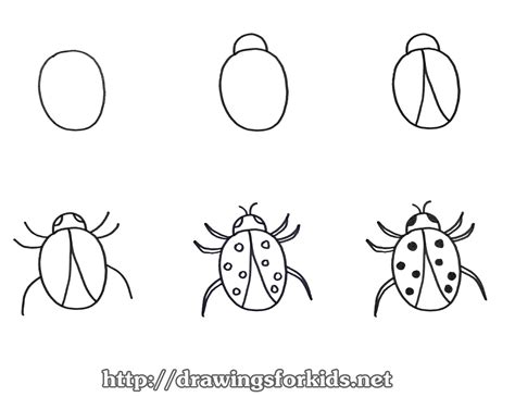 How To Draw A Lady Bug For Kids