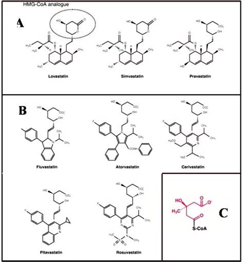 3 Structural Formulae Of Statin Drugs A Type One Statins Lovastatin