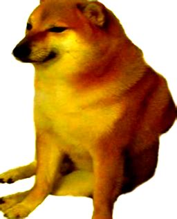 angry doge Blank Template - Imgflip