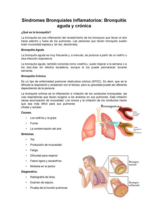 Mapa Mental Bronquitis Aguda Esquemas Y Mapas Conceptuales Off