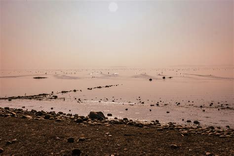 Pong Dam Wildlife Sanctuary