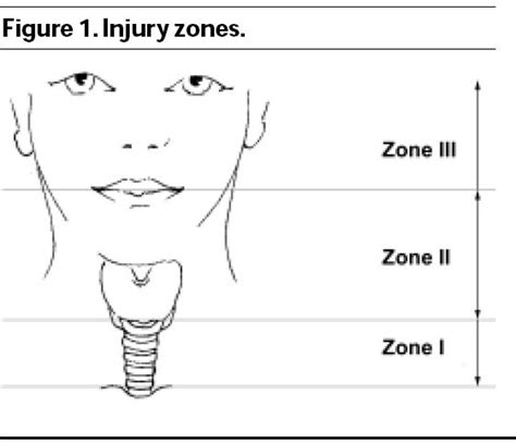 Neck Injury December 2015