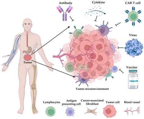 Pharmaceutics Free Full Text Cancer Immunotherapy And Delivery