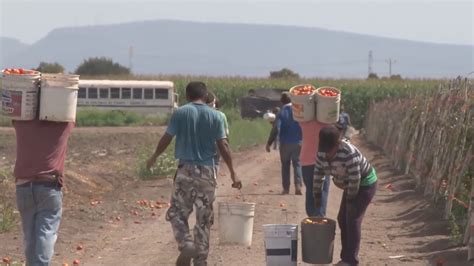 No habrá desabasto de alimentos dice AMLO Sinaloa Noticias TVP