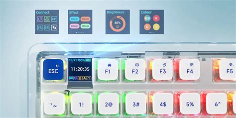 Gamepower Gasket Pro X Rgb Wireless Bluetooth Kablolu Mekanik Hot Swap Ya L Switch Gasket