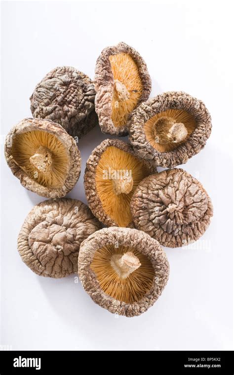 Chinese Mushrooms Dried Shiitake Mushrooms Stock Photo Alamy