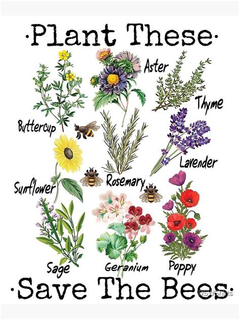 Bee Friendly Save Our Bees Planting For Pollinators Poster A3 Or A4