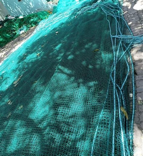 Green Braided Single Layer Safety Net Polypropylene At ₹ 120sq Ft In Pune