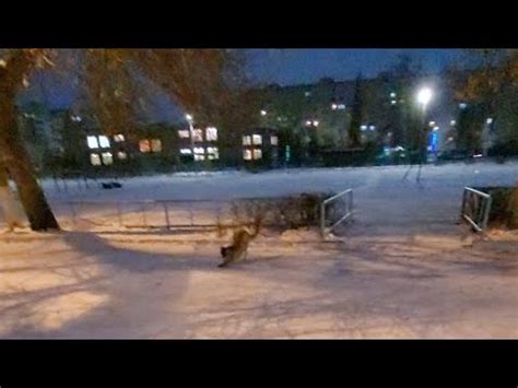 Погода И Радиация В Мелеузе 19 Декабря 2022 Года - YouTube