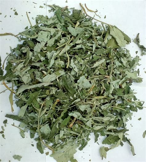 Купить Сабельник болотний (трава), 1кг., цена 280 ₴ — Prom.ua (ID ...