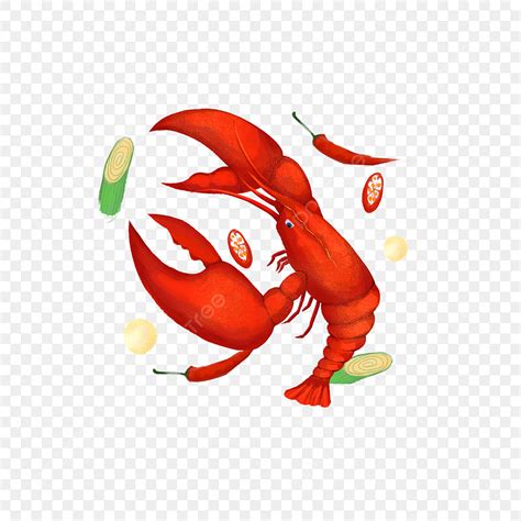 Hand Drawn Style PNG Transparent Commercial Crayfish Hand Drawn Style