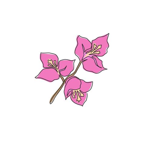 One Single Line Drawing Of Beauty Fresh Bougainville For Wall Home