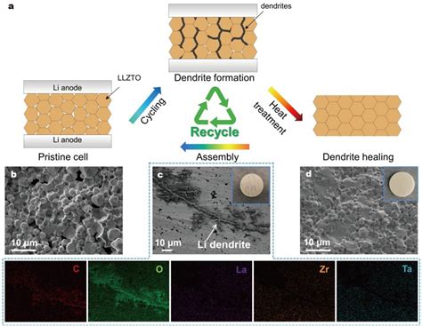 Recycling Of Garnet Solid Electrolytes With Lithium Dendrite