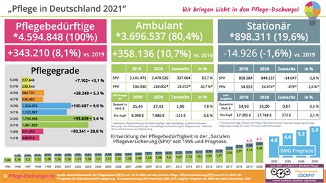 Infografiken Vom Pflege Dschungel Kostenlos Nutzbar F R Pflegeberatung