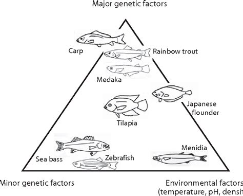 Figure From Environmental Effects On Fish Sex Determination And