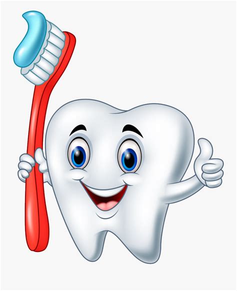 Cartoon Tooth Vector , Free Transparent Clipart - ClipartKey