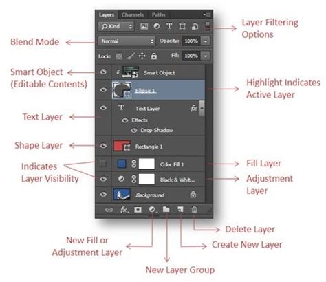 Layer Basics And Types Of Layers In Photoshop Cs