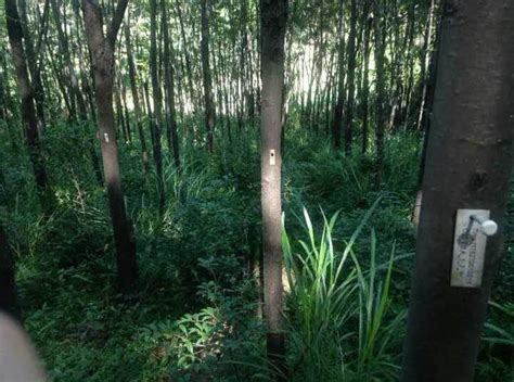 Ongoing projects | BEF-China 