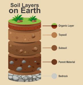 What Is Pvc In Soil Plumbingger