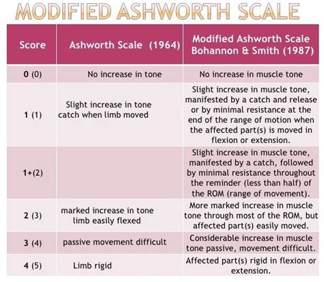 Modified Ashworth Scale Spasticity Occupational Therapy Schools