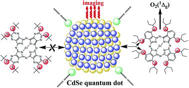 Photophysical Properties Of Cdse Quantum Dot Self Assemblies With Zinc