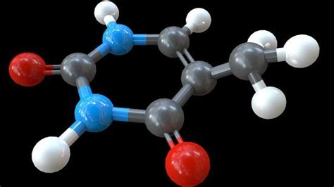What is Thymine and its function ?_Chemicalbook