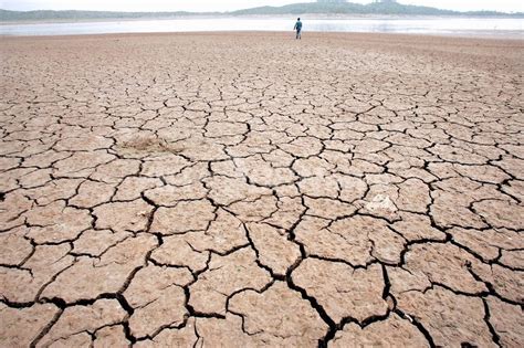 地球の広範囲で大干ばつの恐れ、米研究 写真1枚 国際ニュース：afpbb News