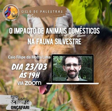 GEAS aborda O impacto de animais domésticos na fauna silvestre em